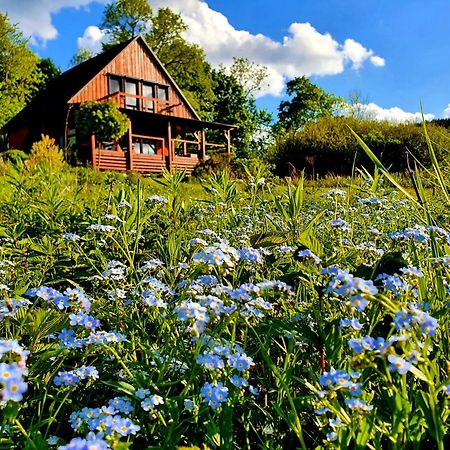 Piaskowy Kon - Mountain Lodge & Spa- Karkonosze Mniszkow  Exteriér fotografie